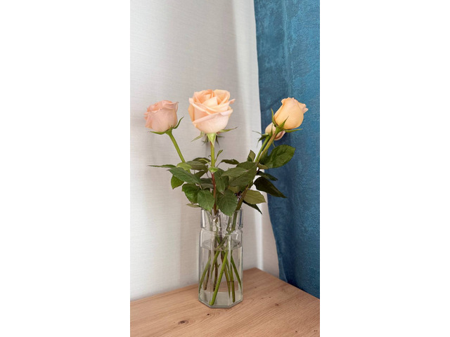 2-к. квартира, 45 м², 5/5 эт. ул.Лужская